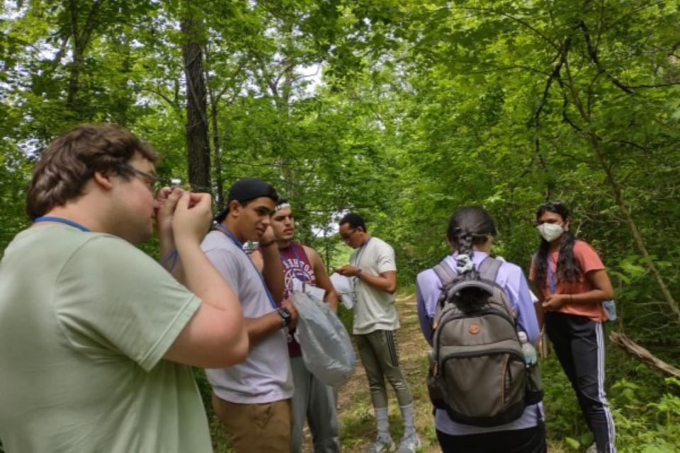一群学生站在森林里，检查试卷和样品.
